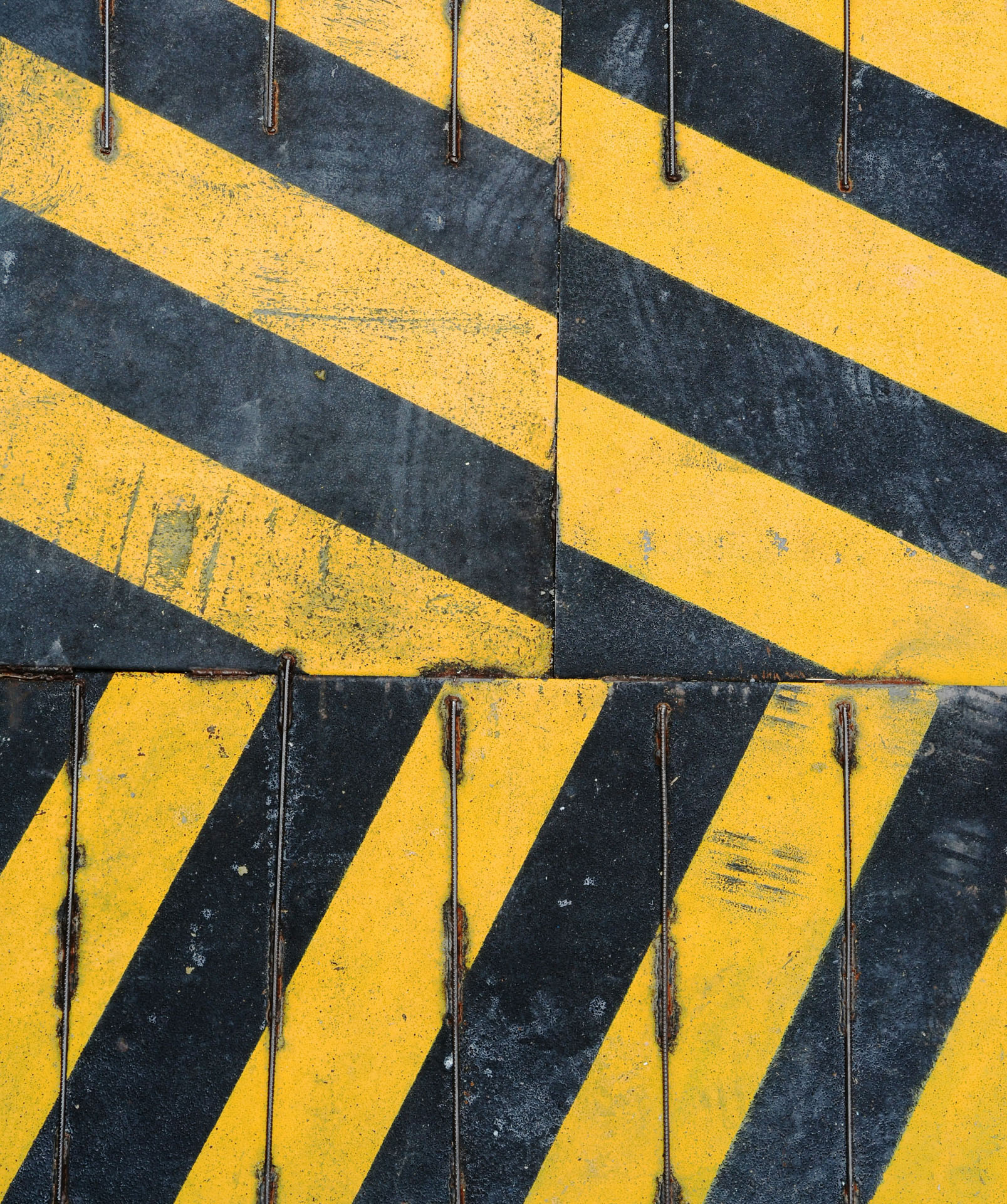pop-zebra-4q3Ogm3Kt44-unsplash.jpg